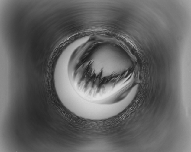 X0000095940920200802081234