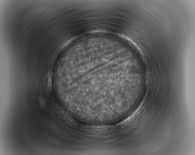 X0000095940921200802081234