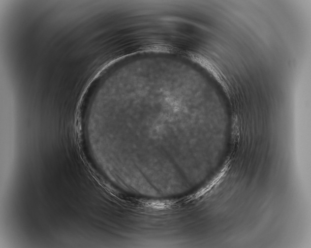 X0000095940923200802081234