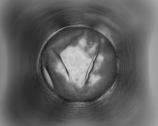 X0000095940925200802081234