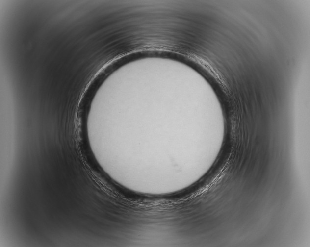 X0000095940926200802081234