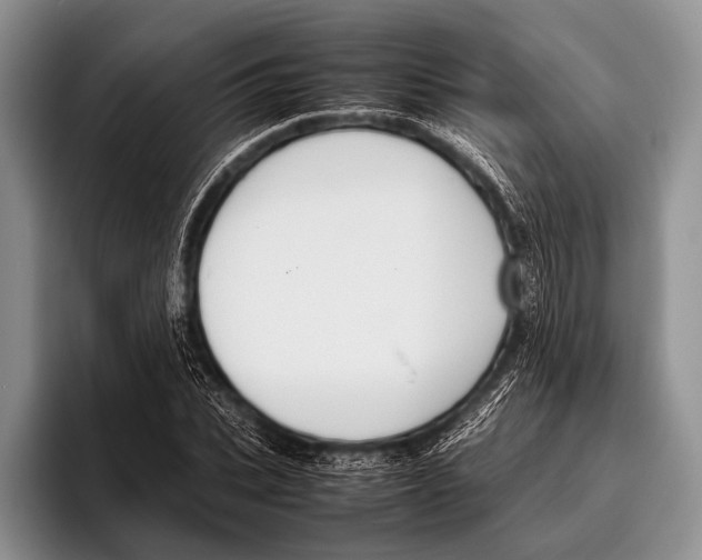 X0000095940927200802081234