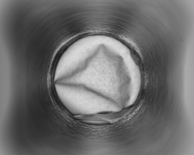 X0000095940928200802081234