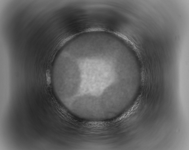 X0000095940929200802081234