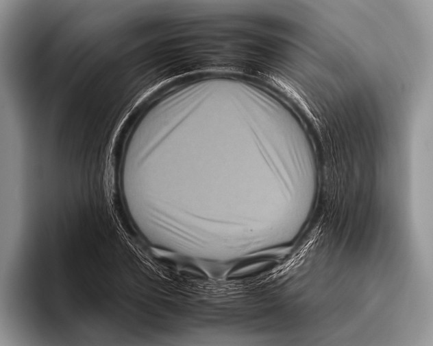 X0000095940931200802081234