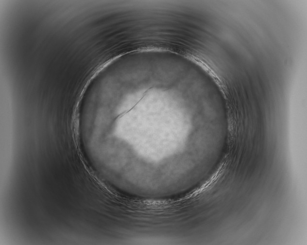 X0000095940933200802081234