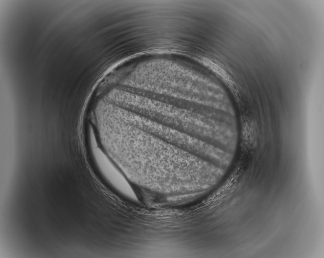 X0000095940934200802081234