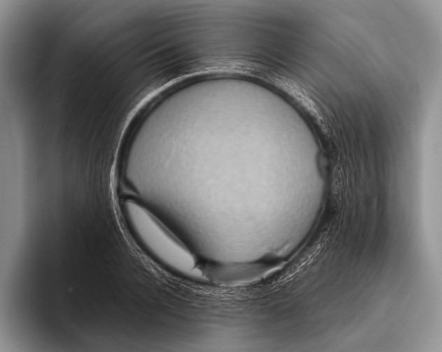 X0000095940936200802081234