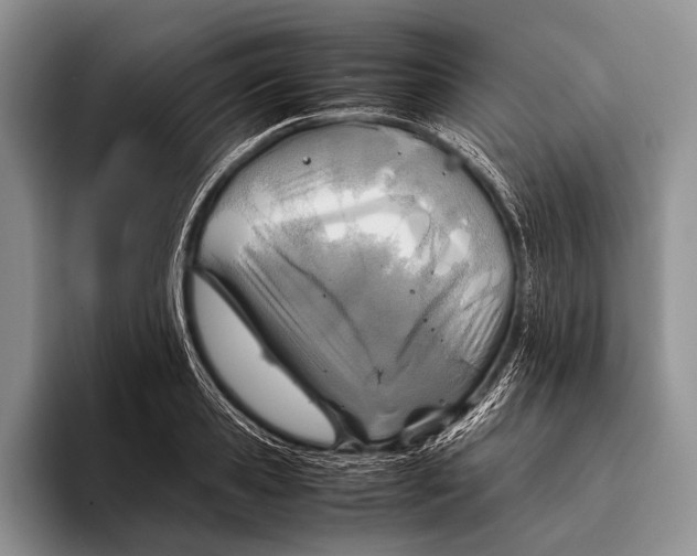 X0000095940941200802081234