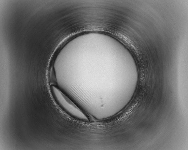 X0000095940942200802081234