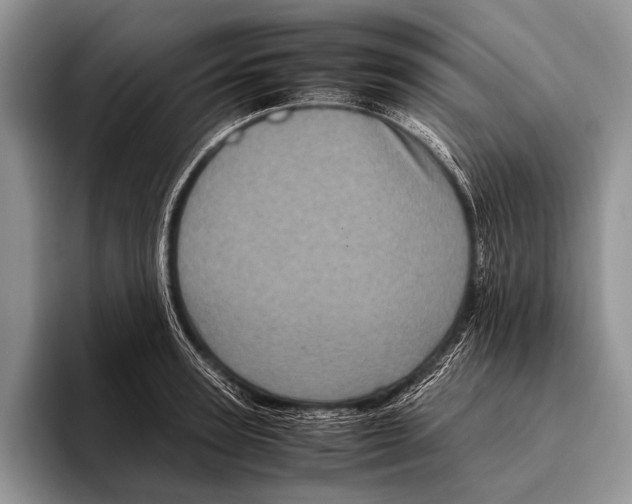 X0000095940947200802081234