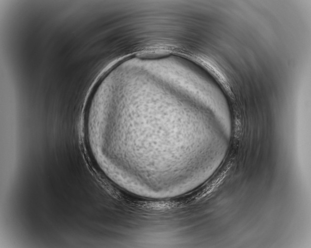 X0000095940948200802081234