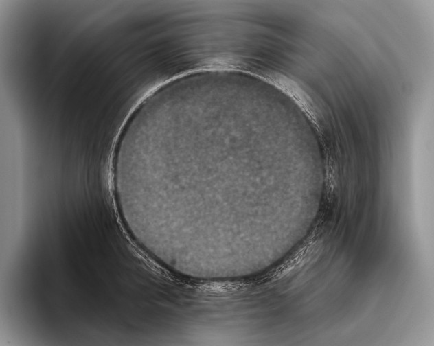 X0000095940950200802081234