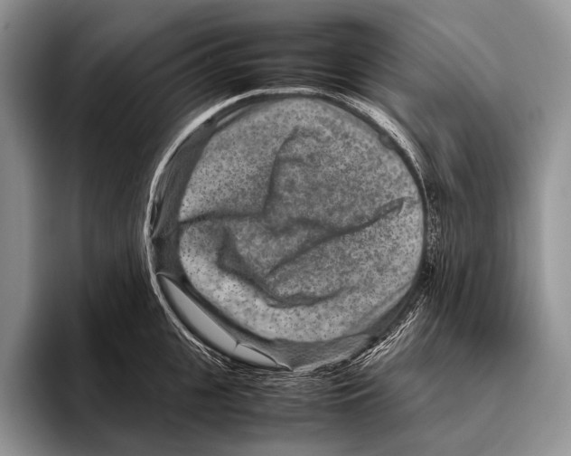 X0000095940951200802081234