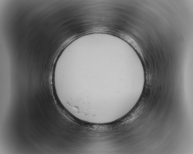 X0000095940954200802081234