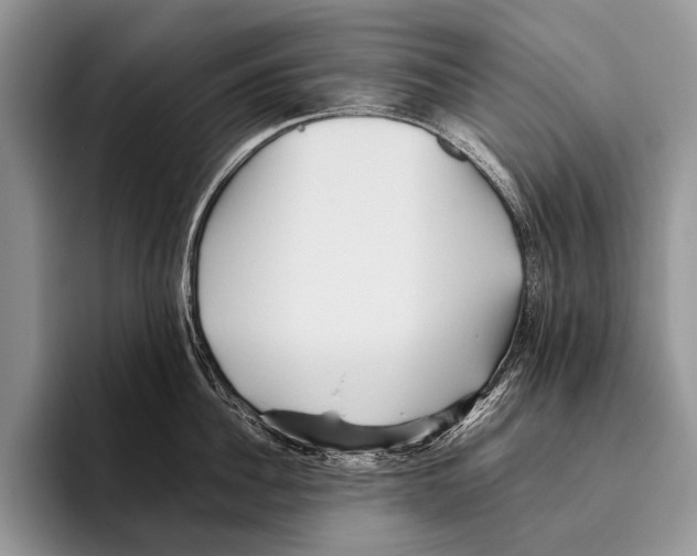 X0000095940956200802081234