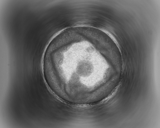 X0000095940957200802081234