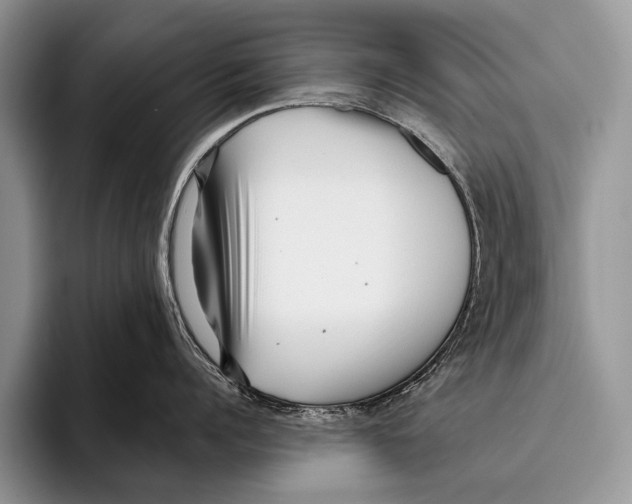 X0000095940960200802081235