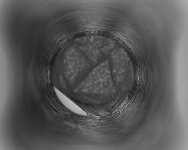 X0000095940964200802081234