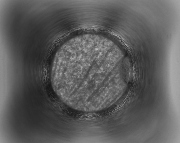 X0000095940966200802081234