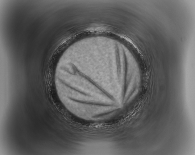 X0000095940967200802081234