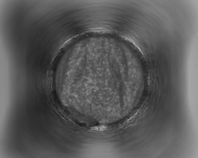 X0000095940968200802081234