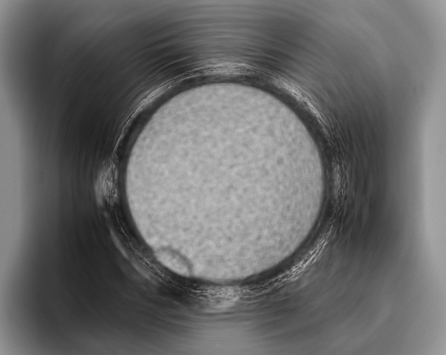 X0000095940970200802081234