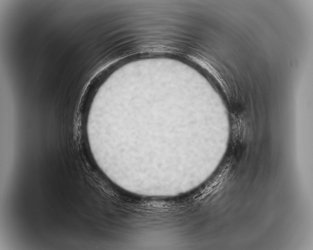 X0000095940971200802081234