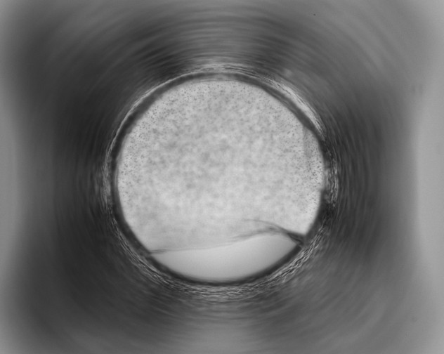 X0000095940972200802081234