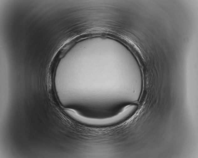 X0000095940973200802081234