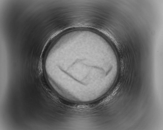 X0000095940974200802081234