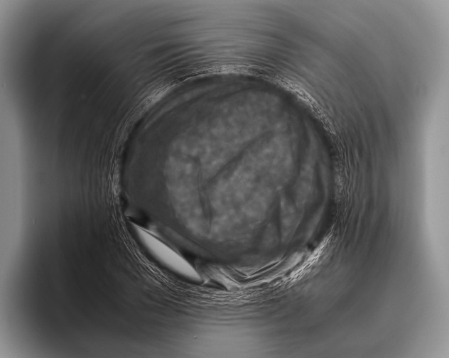 X0000095940977200802081234