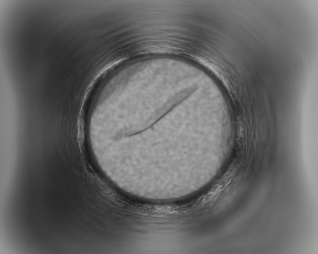 X0000095940979200802081234