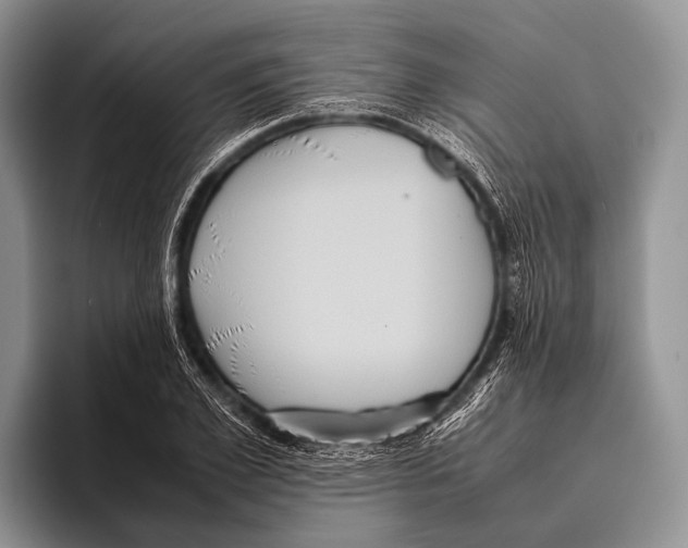 X0000095940981200802081234