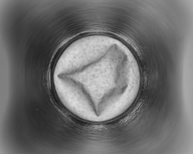 X0000095940982200802081234