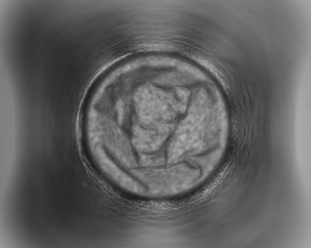 X0000095940983200802081234