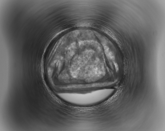 X0000095940984200802081234