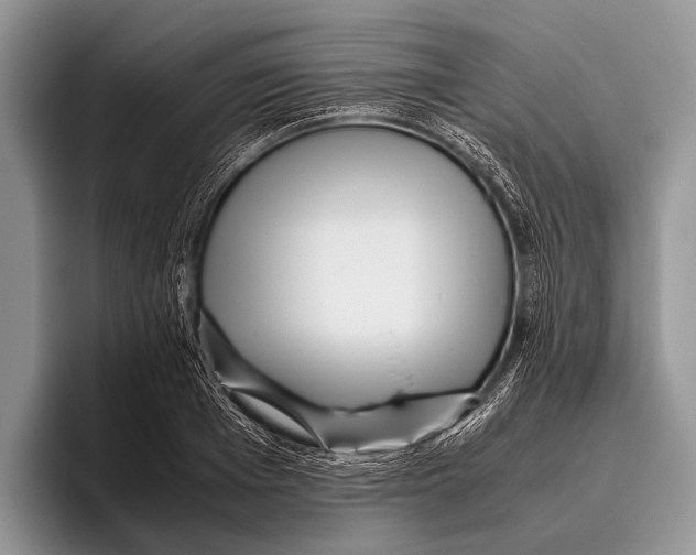 X0000095940985200802081234