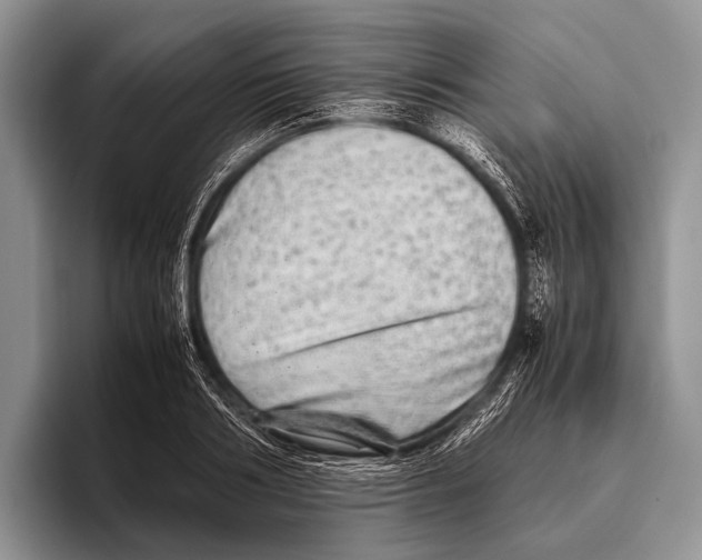 X0000095940986200802081234