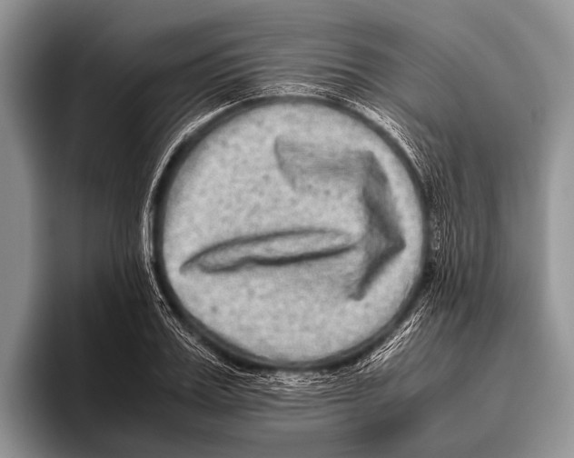 X0000095940987200802081234