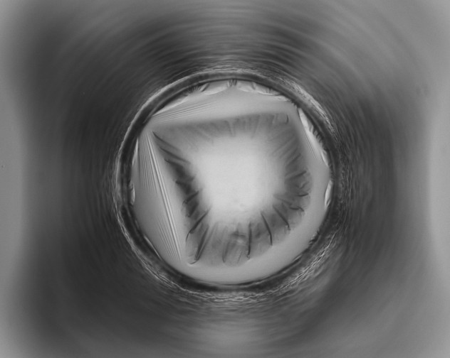 X0000095940988200802081234