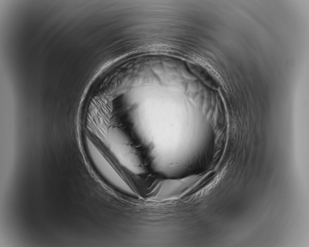 X0000095940989200802081234