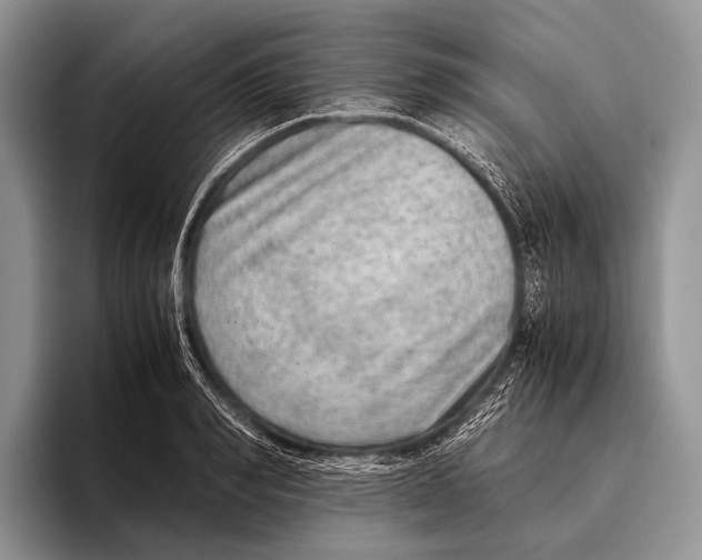 X0000095940990200802081233