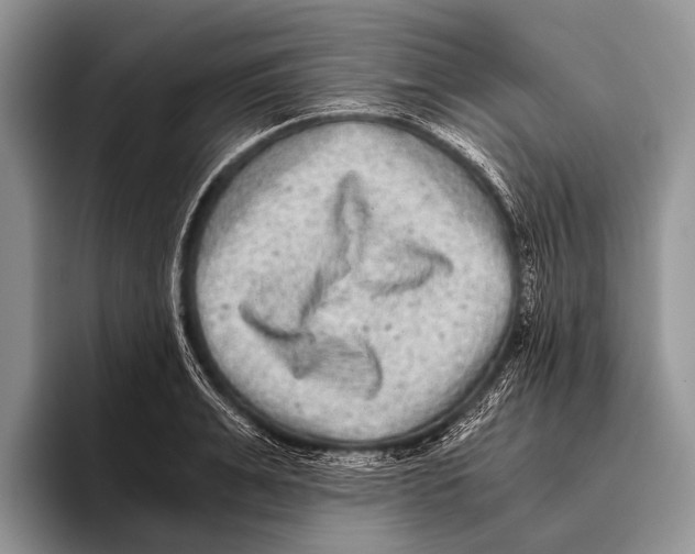 X0000095940991200802081233