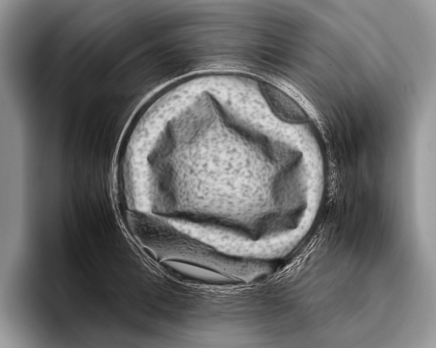 X0000095940996200802081233