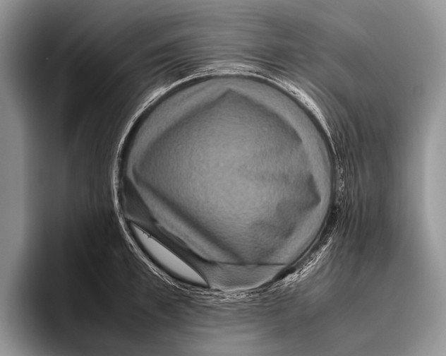 X0000095940997200802081233