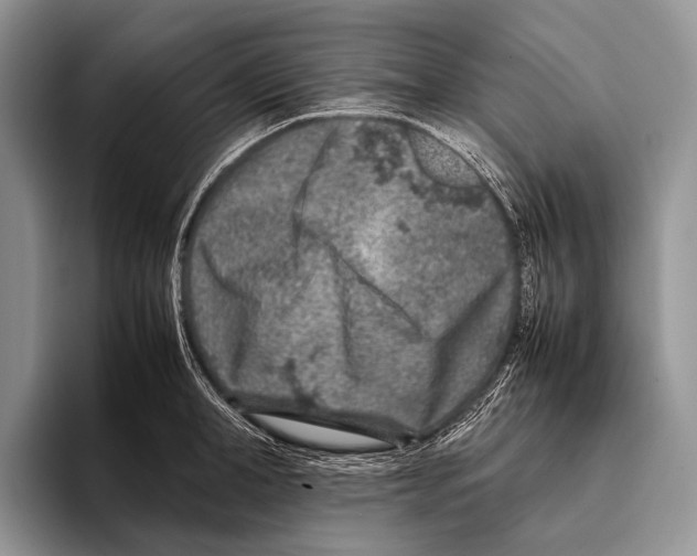 X0000095940998200802081233