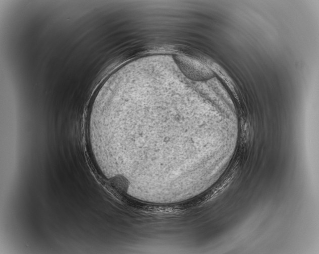 X0000095941002200802081233