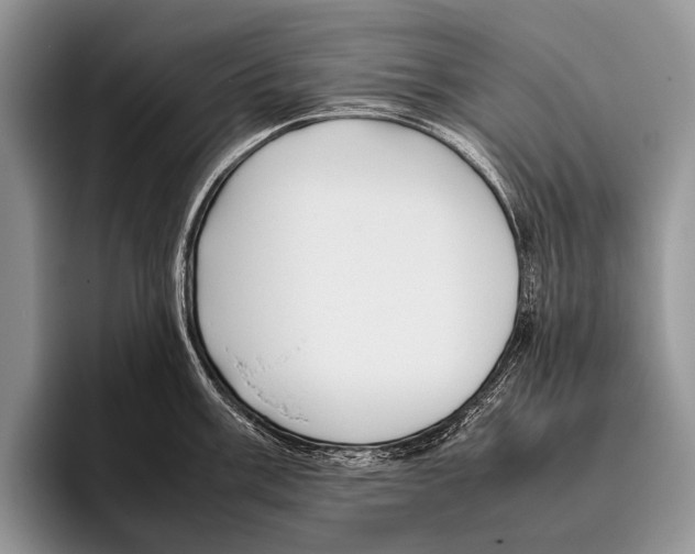 X0000095941003200802081233