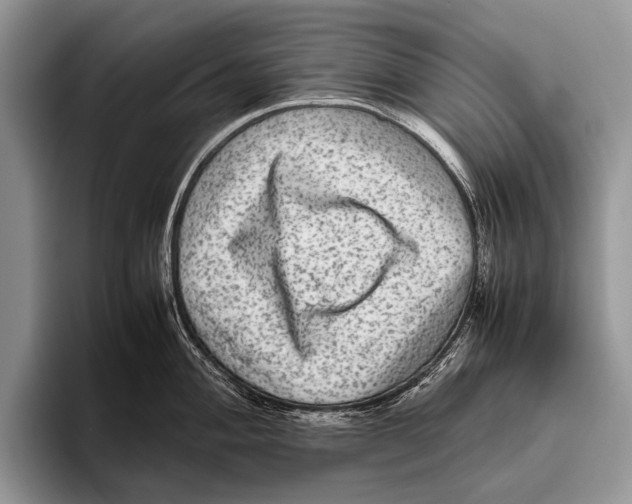 X0000095941004200802081233